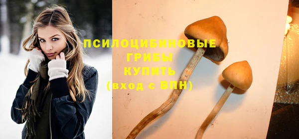 соль ск Верхнеуральск