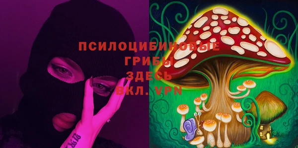 гашик Верхний Тагил
