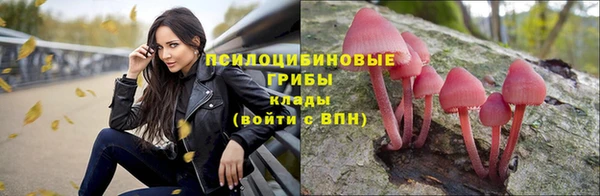 соль ск Верхнеуральск