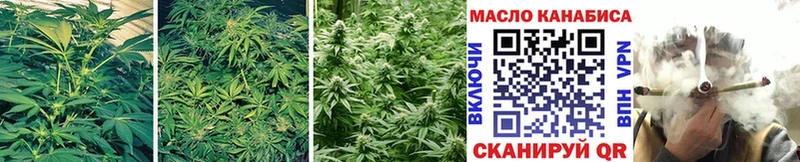 магазин продажи   Кизляр  ТГК жижа 