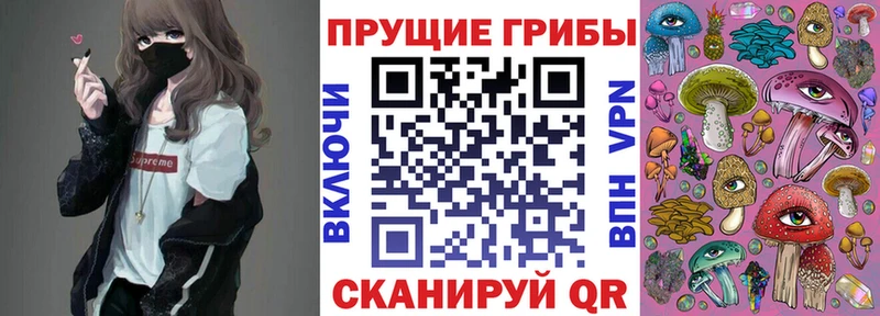 Псилоцибиновые грибы Psilocybine cubensis  Кизляр 